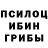 Псилоцибиновые грибы Magic Shrooms stian christensen
