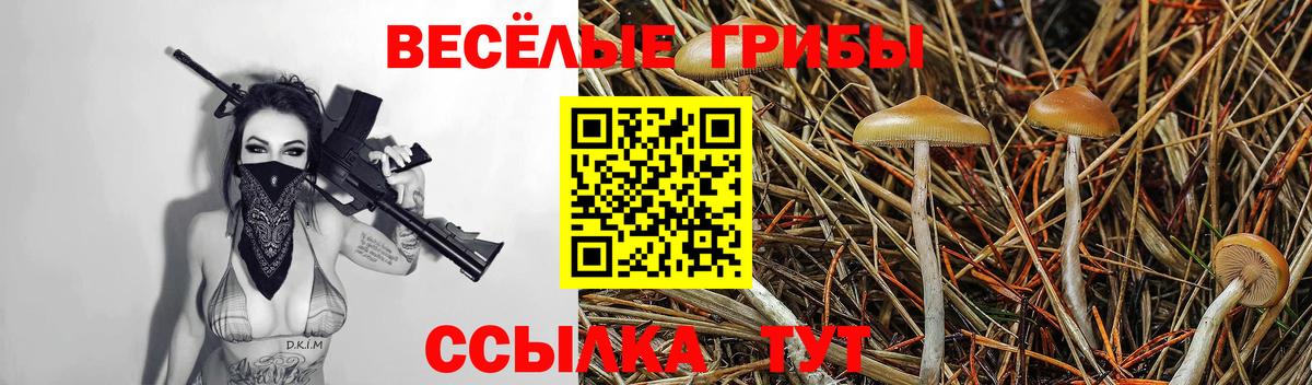 Краснотурьинск  Псилоцибиновые грибы мухоморы  хочу   Вход с VPN 