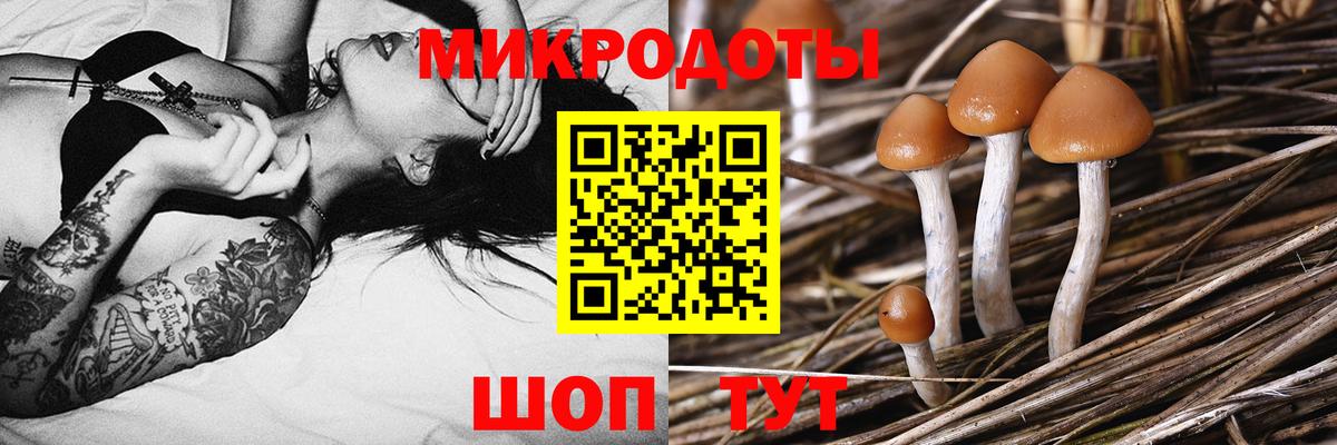 Галлюциногенные грибы прущие грибы Краснотурьинск